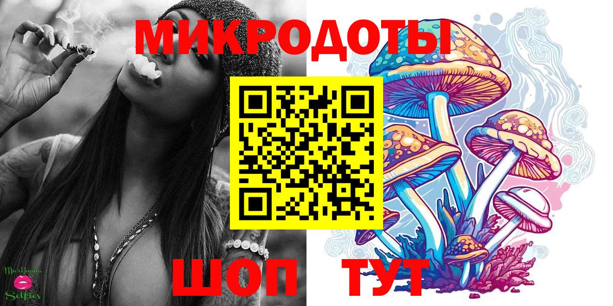 Псилоцибиновые грибы Psilocybe  Вход с VPN  Кумертау 