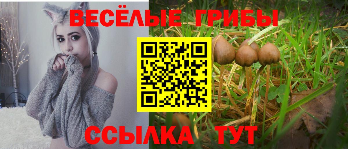 Галлюциногенные грибы Magic Shrooms Кумертау